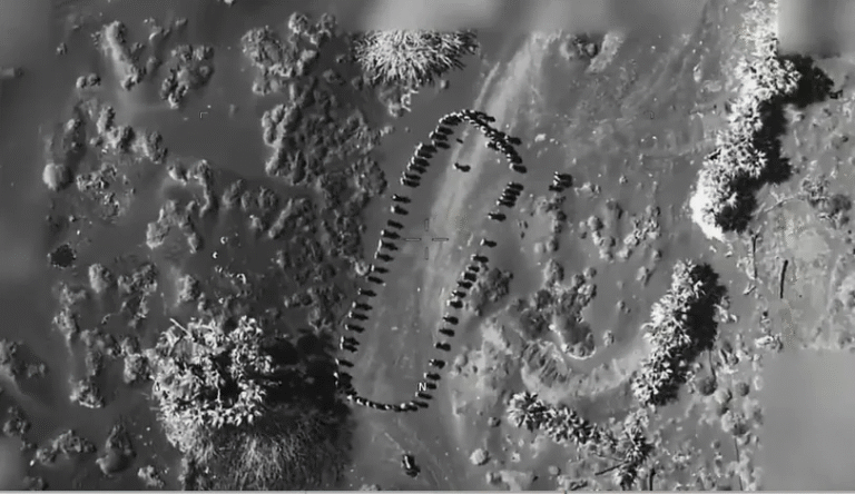 US Strike on Houthi Rebels: President Donald Trump Shares Video